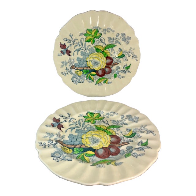Vintage Royal Doulton the Kirkwood Multicolor Dinner Plates- Set of 2 For Sale