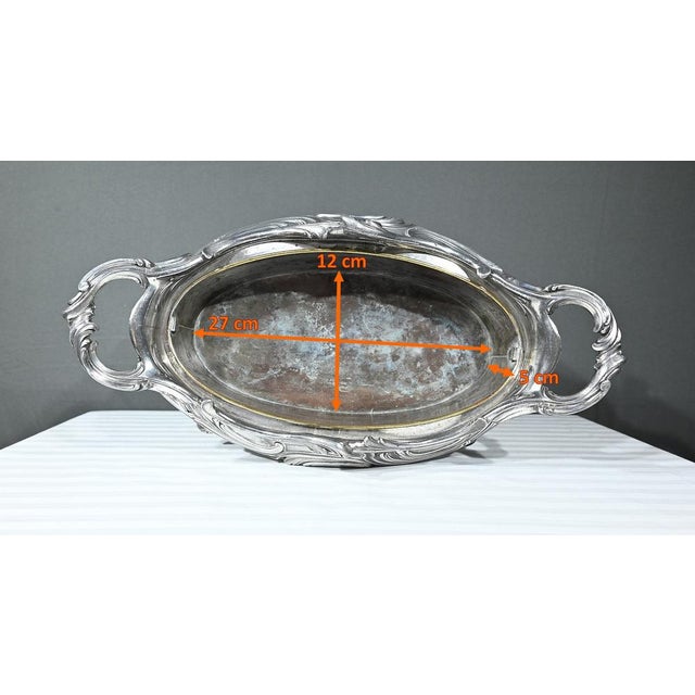 Silvered Bronze Planter by Victor Saglier For Sale - Image 15 of 18