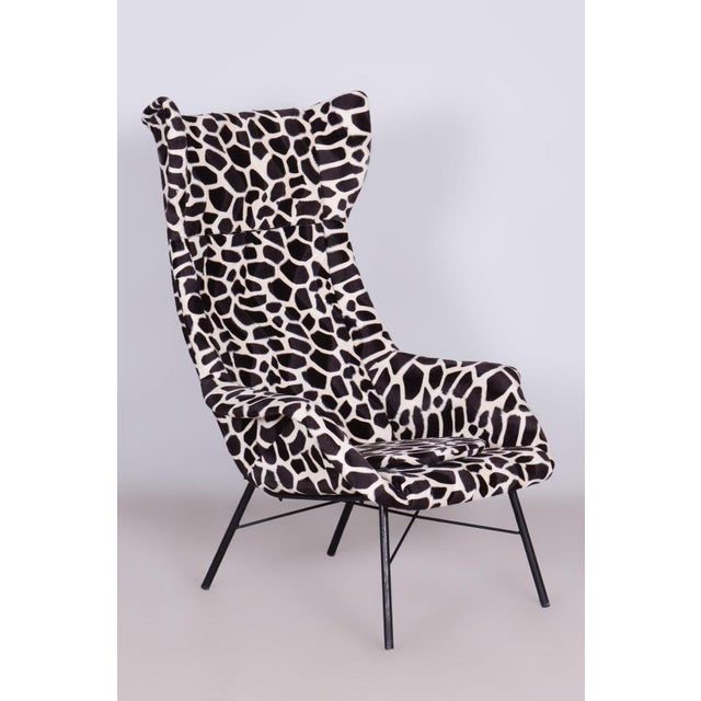 Mid-Century Wingback Armchair attributed to Miroslav Navratil, Czechia, 1950s For Sale - Image 12 of 12