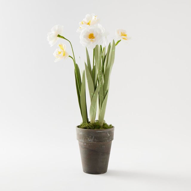 2020s Potted Paper Narcissus, Handcrafted in Stockholm For Sale - Image 5 of 7