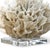 Not Yet Made - Made To Order Regina Andrew Ribbon Coral in White For Sale - Image 5 of 6