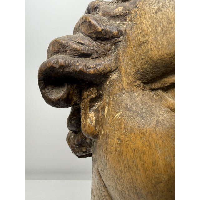 Brown Genovese Artist, Sculpture Depicting the Head of an Angel, 17th Century, Wood For Sale - Image 8 of 18