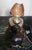 19th Century Victorian Lignum Vitae Bulldog Inkwell, c.1860 For Sale In New York - Image 6 of 7