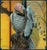 Metal Brass Parrot Figurine – 6.7" Gray Bird Sculpture on Wooden Branch For Sale - Image 7 of 11