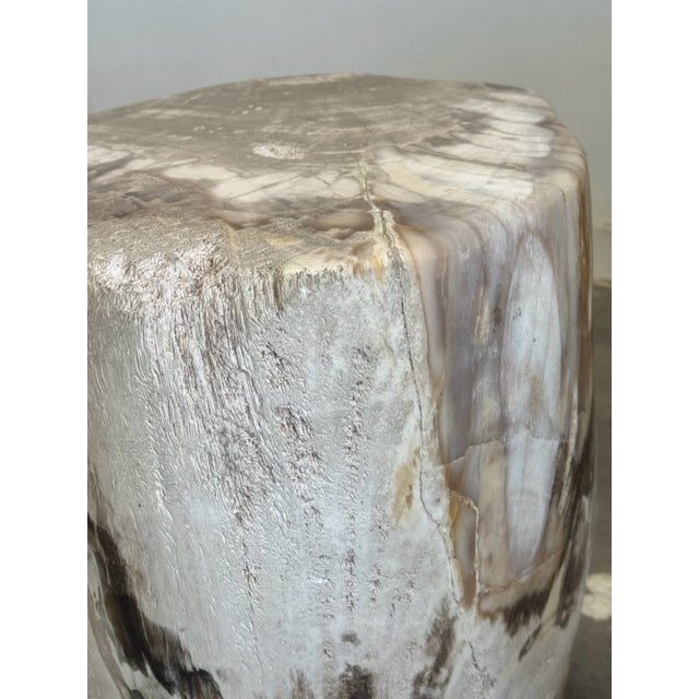 2000 - 2009 Petrified Stool - Single For Sale - Image 5 of 17