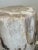 2000 - 2009 Petrified Stool - Single For Sale - Image 5 of 17