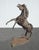 Unique Horse Statue in Great Vintage Condition. Solid and Firm. Please study the photos and ask questions. Overall a Very...