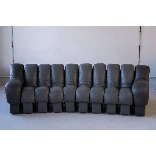 Set of DS-600 Non Stop Sofa by Eleonore Peduzzi Riva for de Sede, 1970s For Sale - Image 13 of 13