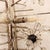 1950s Pair of Lobmeyr Sputnik Cylinder Sconces For Sale - Image 11 of 18