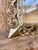 19th Century Gilded Wooden Mirror For Sale - Image 4 of 9