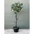 Hollywood Regency Vintage Italian Painted Metal Lemon Tree For Sale - Image 3 of 12