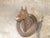 English Victorian 19th Century Terracotta Horse Head with Greek Key Frieze For Sale - Image 4 of 9
