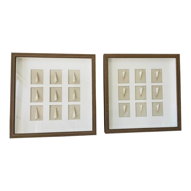 Pair of Boho Coastal Seashell Shadow Box Wall Art For Sale