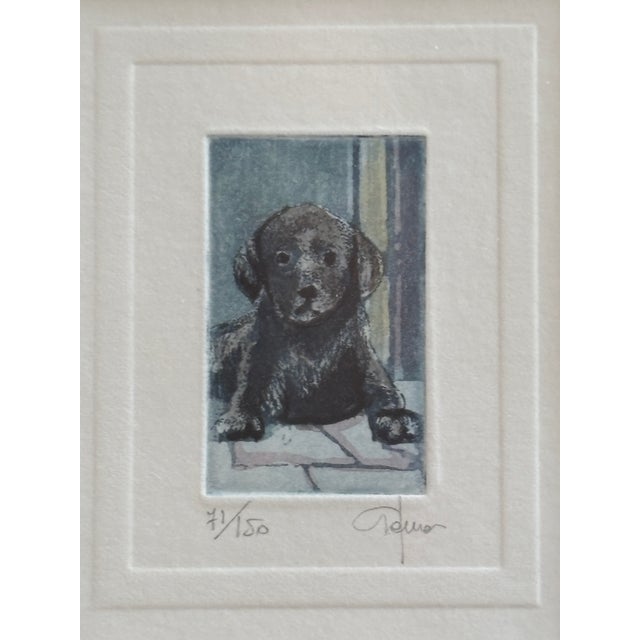 Late 20th Century Italian Watercolor Etching of Labrador Puppy by Giorgio Ferrari (B. 1936) For Sale - Image 5 of 18