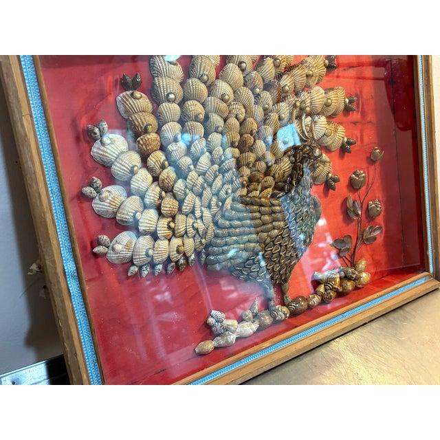 1970s Handmade Peacock Shell Collage For Sale - Image 4 of 7