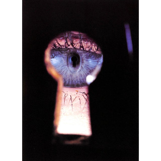 "Passage" 1991 Penn, Irving For Sale - Image 4 of 11