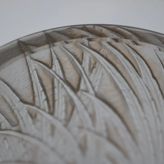 1920s Rene Lalique Glass 'Coqs Et Plumes' Vase For Sale - Image 12 of 13