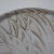 1920s Rene Lalique Glass 'Coqs Et Plumes' Vase For Sale - Image 12 of 13
