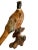 1990s Hand Carved Ring Necked Pheasant For Sale - Image 10 of 11