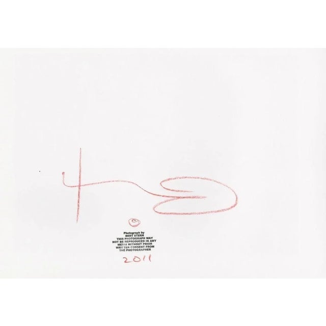 Bert stern Marilyn Monroe The last sitting Pearls 3 Inkjet print 50 copies 2011 33 x 48 cms Signed front / back Dated and...