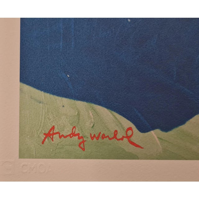 After Andy Warhol, Hélène Rochas , 1980s, Lithograph For Sale - Image 6 of 8