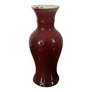 19th Century Chinese Oxblood Sang de Boeuf Porcelain Vase