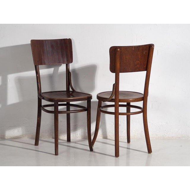 Bentwood Chairs attributed to Michael Thonet, 1940s, Set of 4 For Sale - Image 5 of 12