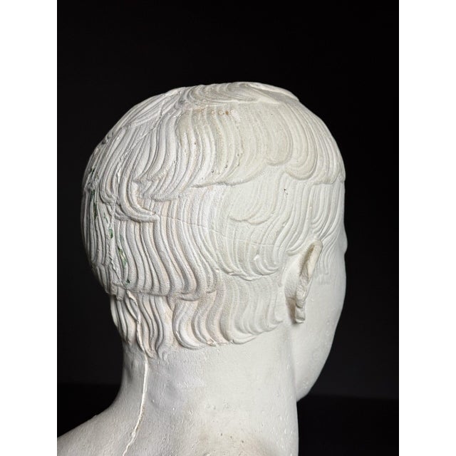 Bust of Napoleon, 20th Century, Plaster For Sale - Image 11 of 18