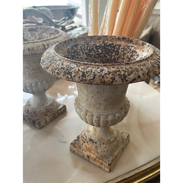 These stunning urns are a cream/white shade with a stunning patina. The urns are made of heavy-duty cast iron. They could...