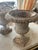 These stunning urns are a cream/white shade with a stunning patina. The urns are made of heavy-duty cast iron. They could...