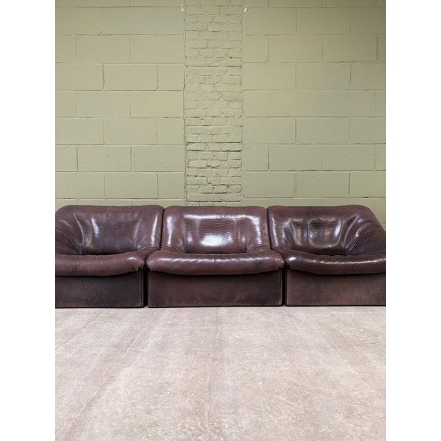 Animal Skin Model DS-46 in Black-Brown Neck Leather from de Sede, Switzerland, 1976, Set of 6 For Sale - Image 7 of 18