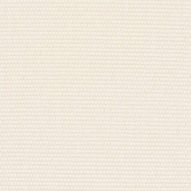 Contemporary SAMPLE - Schumacher Cooper Indoor/Outdoor Fabric In Ivory For Sale - Image 3 of 3