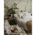 Cecil Chintz is a gorgeous medium-scaled floral chintz, notable for its painterly blooms and unusual color combinations....
