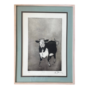 Large Framed Etching of a Black and White Cow