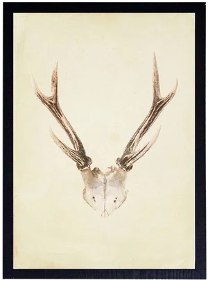 Vertical Antlers - 17" X 23"