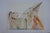 Salvador Dali, Les Chevaux, La Licorne, Lithograph For Sale - Image 5 of 5