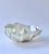 Ceramic Shell Bowl by N'atelier For Sale - Image 4 of 4