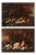 Elena Recco, Still Lifes with Fish and Shellfish, 1690, Oil on Canvas, Set of 2 For Sale