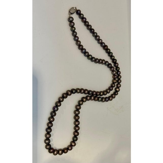 Fresh Black Water Round Pearl Single Strand Necklace, Opera Length, Silver Clasp For Sale - Image 17 of 18