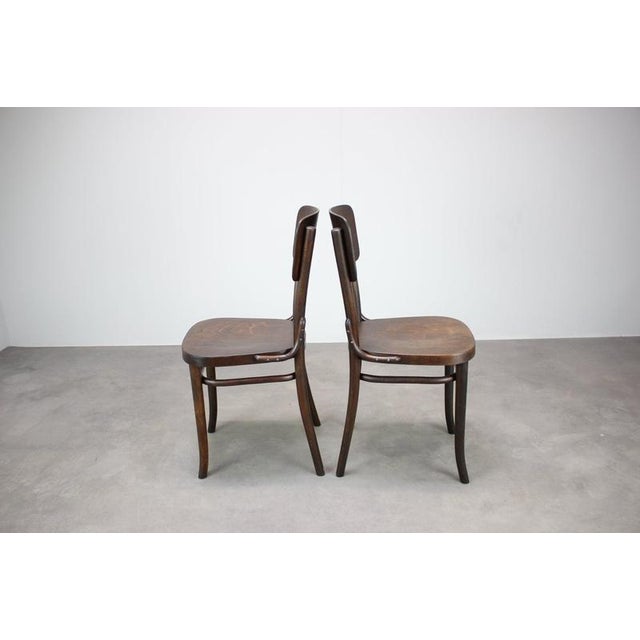 Brown Bentwood Chairs from Thonet, Former Czechoslovakia, 1920s, Set of 2 For Sale - Image 8 of 15