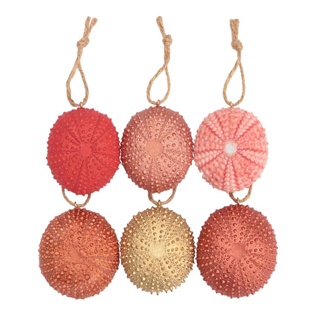 Sea Urchin Christmas Ornaments in Coral Pink Set of 6 Chairish
