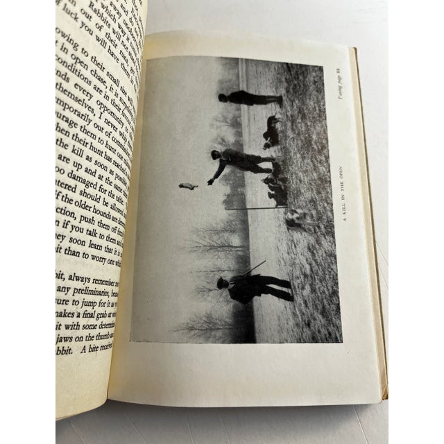 Paper 1946 Beagle and Terrier Dogs Book For Sale - Image 7 of 10