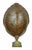 Monumental Natural Antique Turtle Carapace Shell Lamp For Sale - Image 4 of 15