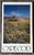American Vintage 1979 Kennedy Studios Poster of Cape Cod ~ Framed For Sale - Image 3 of 8