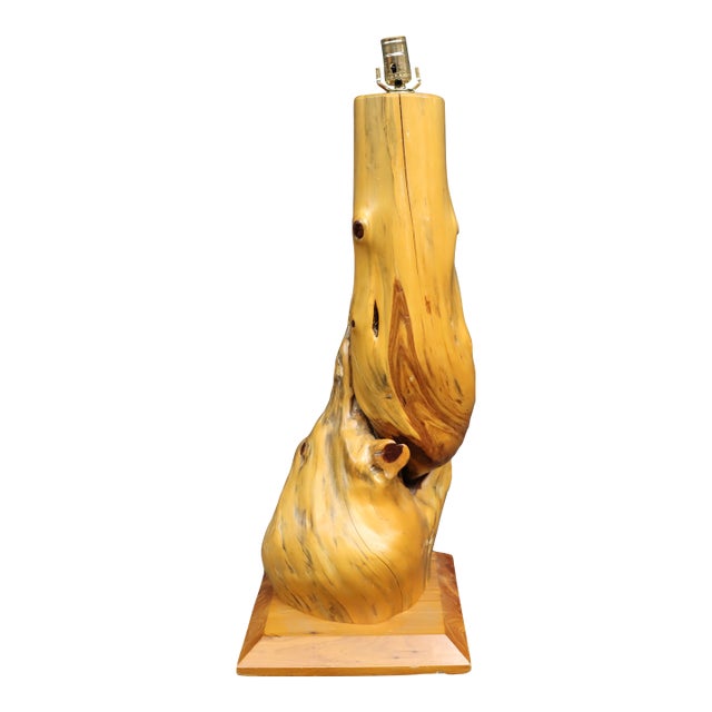 Mid 20th Century Mid Century Modern Organic Driftwood Table Lamp For Sale