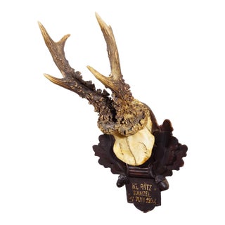 Antique Black Forest Red Deer Trophy on Carved Plaque - Germany 1932 For Sale