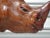 Animal Skin Vintage Leather Rhinoceros, India, 1950s For Sale - Image 7 of 14