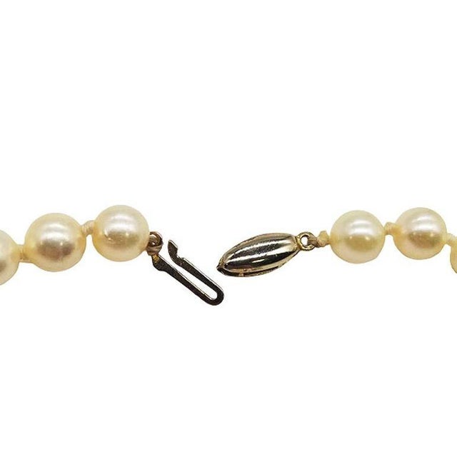 Mid-Century South Sea Roud Pearl Choker Necklace on Silk Cord W/ Silver Clasp For Sale In Los Angeles - Image 6 of 7