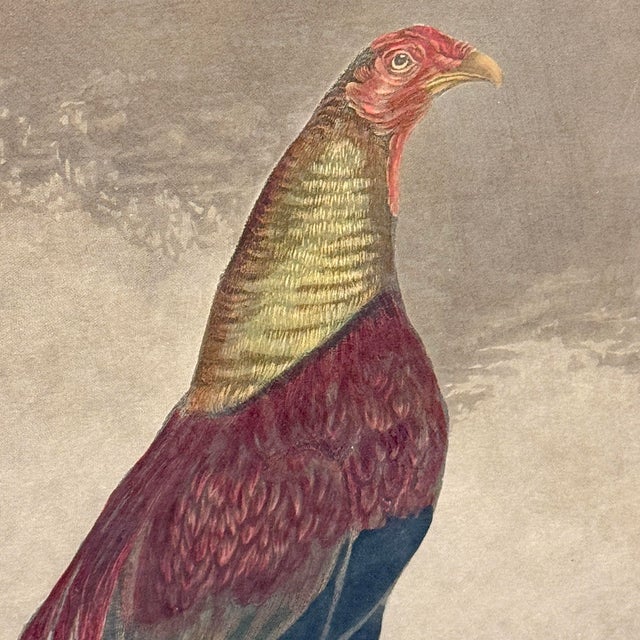 Late 19th Century Framed Pair of 19th Century 'War' and 'Peace' Hand-Tinted Lithographs For Sale - Image 5 of 13