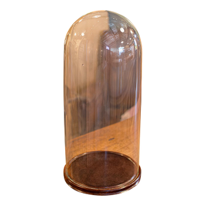 Tall Antique Taxidermy Dome, English, Glass, Collector’s Display, Late Victorian